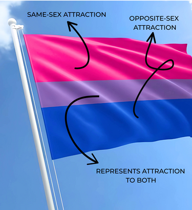 Wildflowers | Bi+Pride